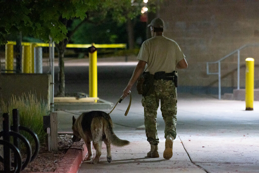 Activists say “paramilitary” mall security in Uptown is violating their rights