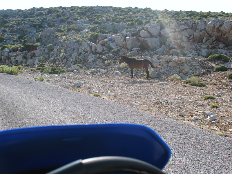 Tour to Skyros Island - Greece IMG_1597