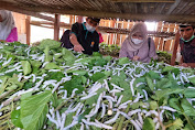 Dapat Bantuan Rumah Ulat, Petani Sutera Curhat Persoalan Pemasaran ke Andi Nurhidayati