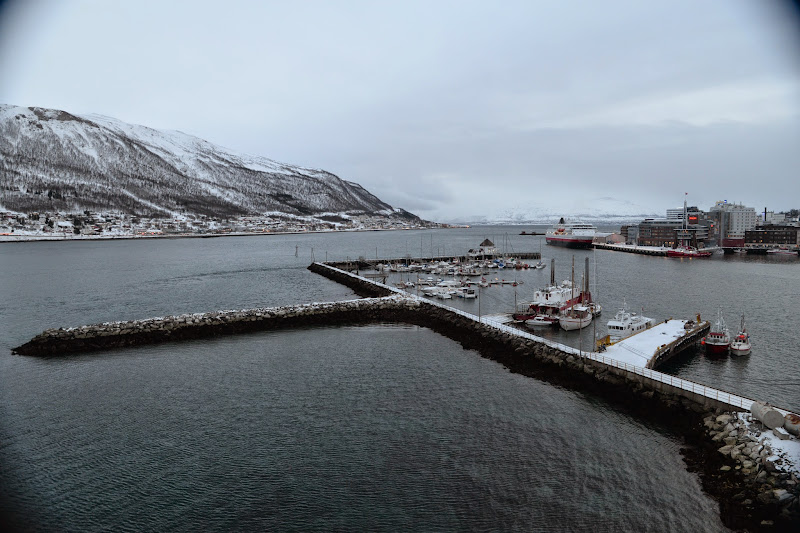 Escapada boreal a Noruega (2015) - Blogs de Noruega - En trineo por la nieve (20)