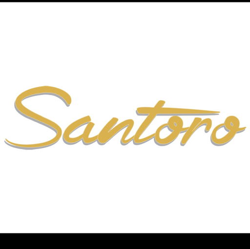 Santoro Hair Salon logo