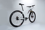 twohubs 29er Rohloff Belt Drive Complete Bike