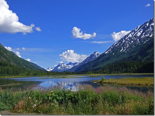 Tern Lake