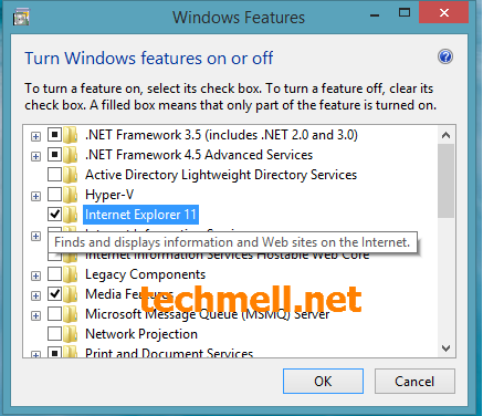 Uncheck Internet Explorer 11 Option in Windows Features