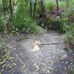 Dirt Path (176985)