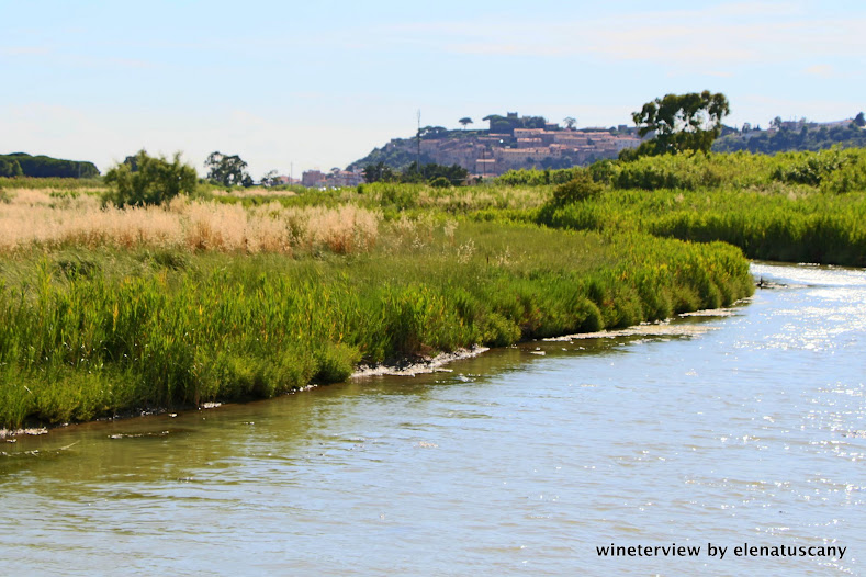 castiglione della pescaia