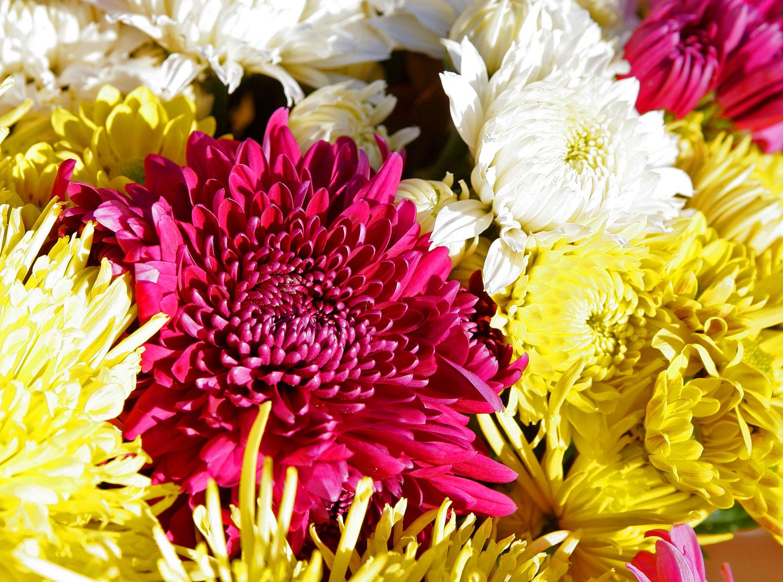 fall wedding flowers