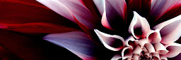 Profile cover photo