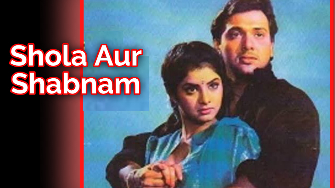 Shola Aur Shabnam 1992 Movie Lifetime Worldwide Collection Bolly Views Collection Lyrics