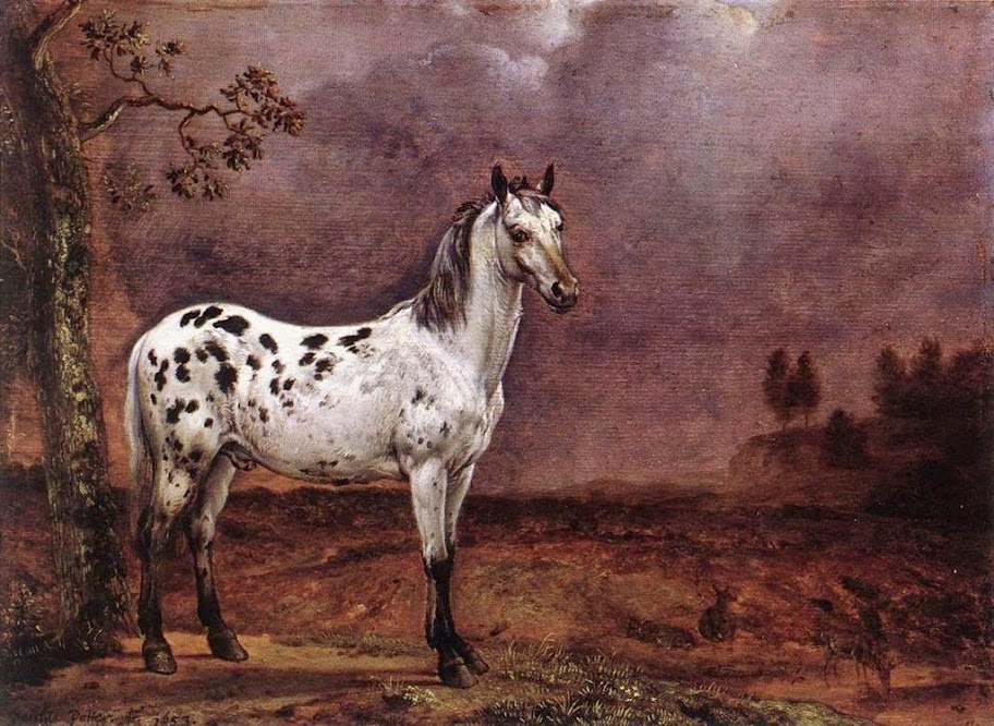 Paulus Potter - The Spotted Horse