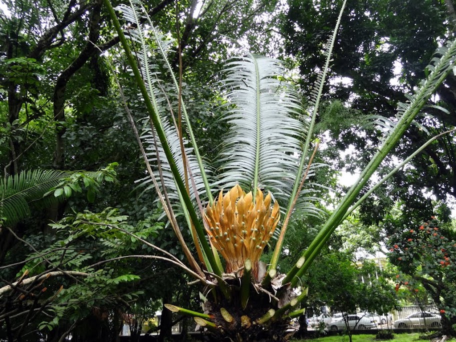 Costa neoRomantica: Сингапур,Малайзия,Таиланд, Шри-Ланка, Индия, Мальдивы,Сейшелы,Маврикий