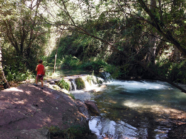 Senderismo - Fuente de Los Cloticos - Pozo Torrecilla - PR-CV 275