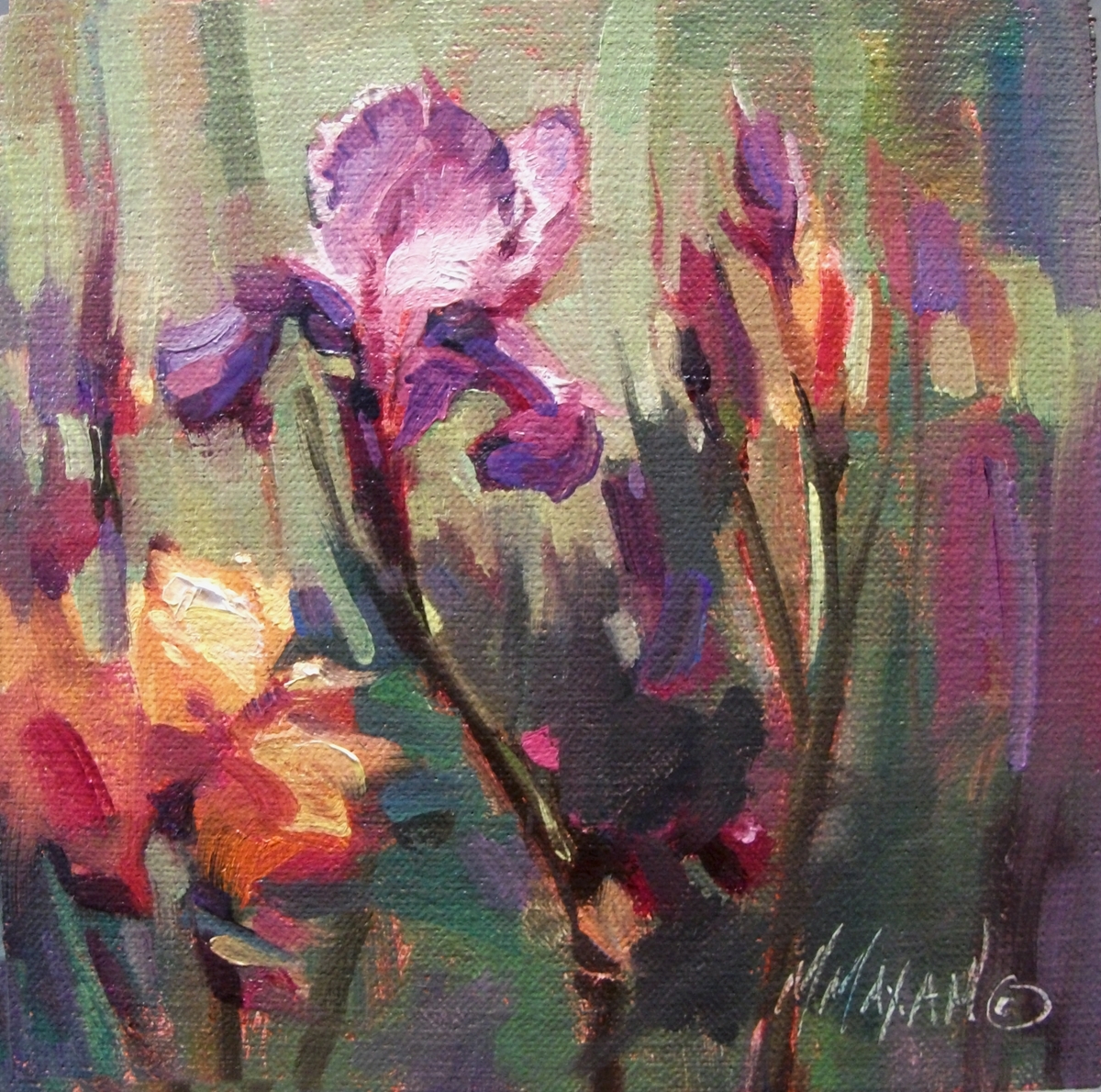 Mary Maxam - paintings: Iris Bunch- painting demonstration