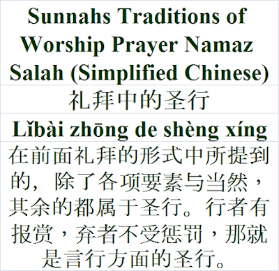 Sunnahs Traditions of Worship Prayer Namaz Salah Simplified Chinese Language 礼拜中的圣行