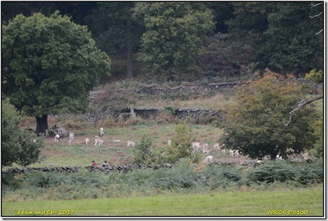 Bradgate Park - October