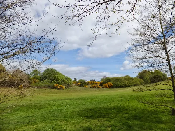 Thorpeness Golf Course