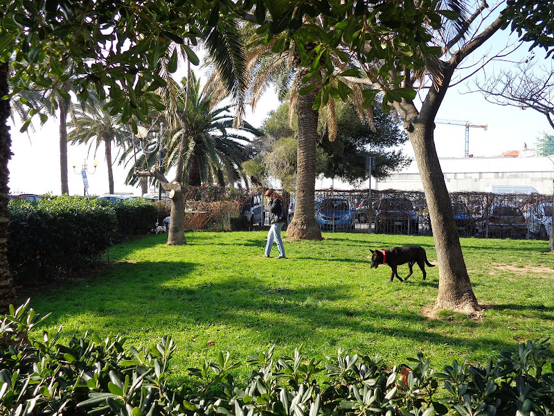 А включите-ка мне усилители качки! А подайте-ка белых пиджаков. Costa Paсifica февраль 13г