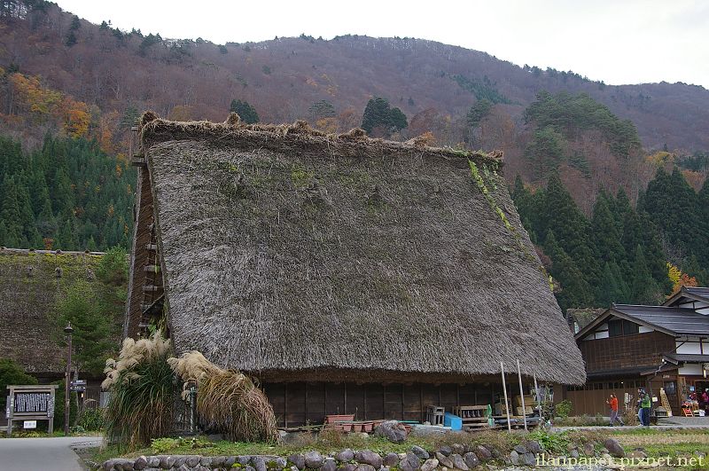 白川鄉 合掌造 合掌屋