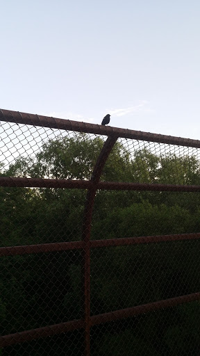 Nature Preserve «Lincoln Marsh», reviews and photos, Harrison Ave & Pierce Ave, Wheaton, IL 60187, USA