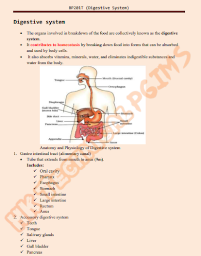 Digestive System HUMAN ANATOMY AND PHYSIOLOGY-II COLORED Notes 2nd Semester B.Pharmacy Lecture Notes,BP201T Human Anatomy and Physiology II,BPharmacy,Handwritten Notes,Important Exam Notes,BPharm 2nd Semester,