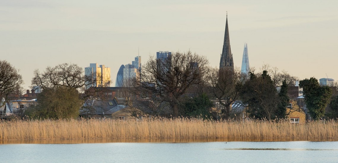 woodberry-wetlands-3