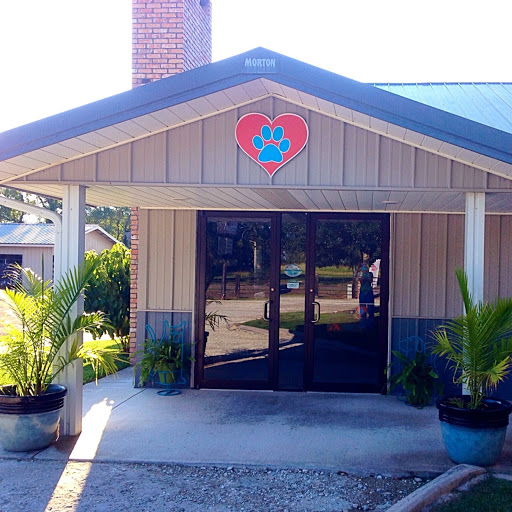 Companion Care Veterinary Clinic logo