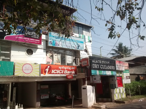 Black Swan Dry Cleaners, P. No. G289, Ground Floor, Kallarakkal Enclave, Panampilly Nagar Ave, Manorama Junction, Near ICICI Bank ATM, MIG Housing Society, Panampilly Nagar, Kochi, Kerala 682036, India, Dry_Cleaner, state KL