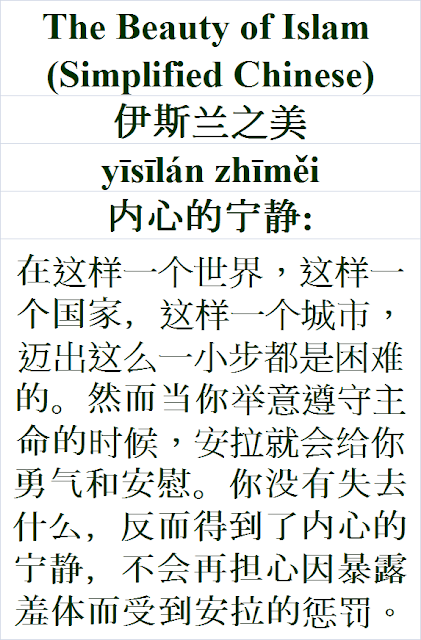 The Beauty of Islam Simplified Chinese Language 伊斯兰之美 yīsīlán zhīměi