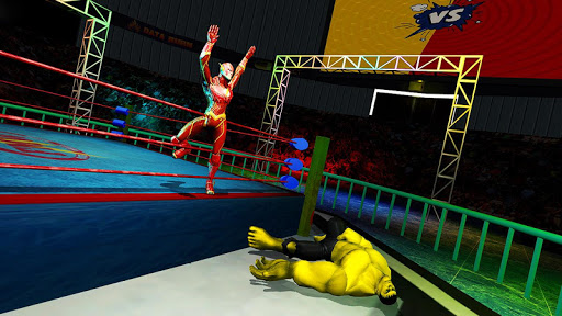 Superhero Wrestling Battle Arena Ring Fighting