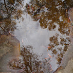 Reflection in rock pool (73725)