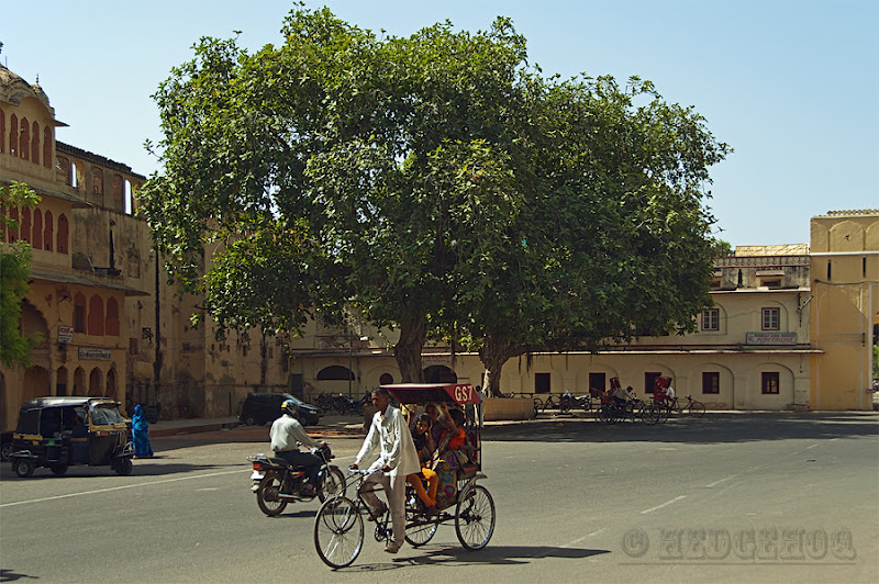 Наша Индия, ч. 2 (центральная и южная Индия) Наша Индия, ч. 2 (центральная и южная Индия)