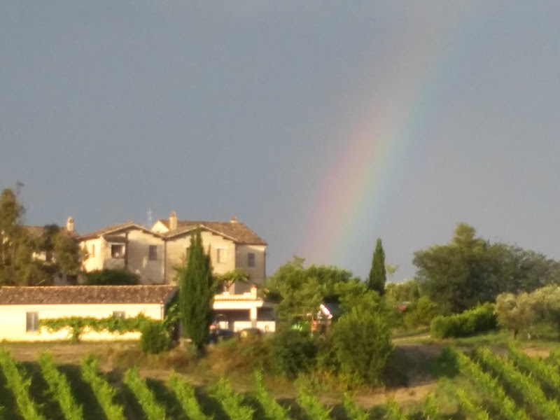 Image principale de Azienda Agrobiologica Aurora