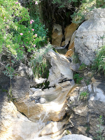 Common fresh water canals along the road