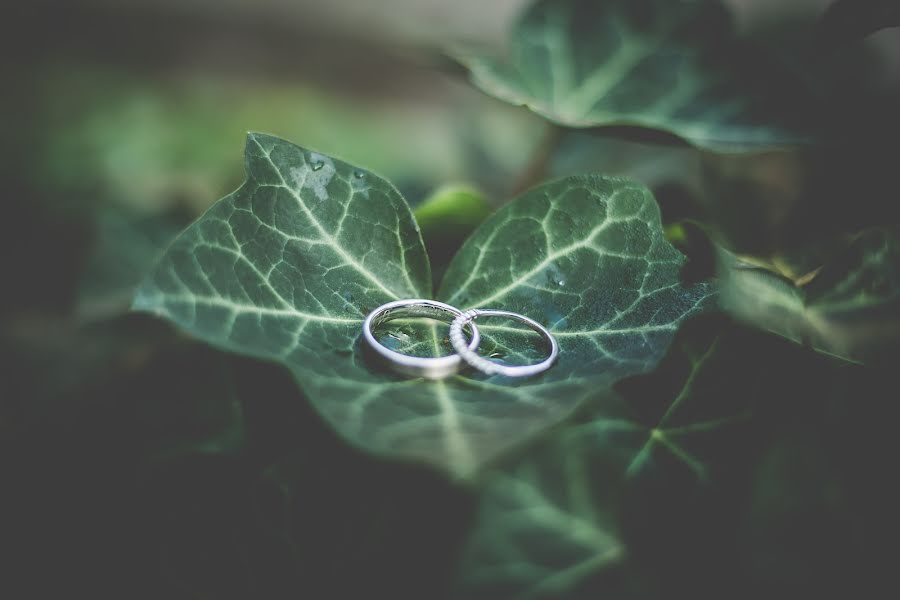 Photographe de mariage Jérôme Bourgeois (jeromebourgeois). Photo du 31 décembre 2019