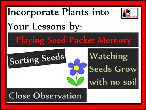 Twenty ways to learn about seeds and plants or incorporate seeds and plants into your lessons - everything from growing a garden in soil to hydroponics to exploring seed catalogs. Twenty different ideas for your classroom or homeschool environment brought to you by Raki's Rad Resources