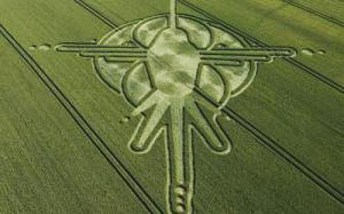 Giant Hummingbird Crop Circle Appears In Wiltshire Barley Field