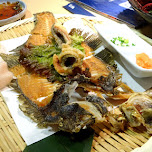 fried flonder at Zauo self-fishing restaurant in Shinjuku, Tokyo - Japan in Shinjuku, Japan 