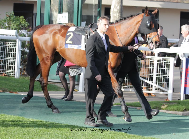 Photos Auteuil 8-11-2015 (48h de l'obstacle) IMG_7072