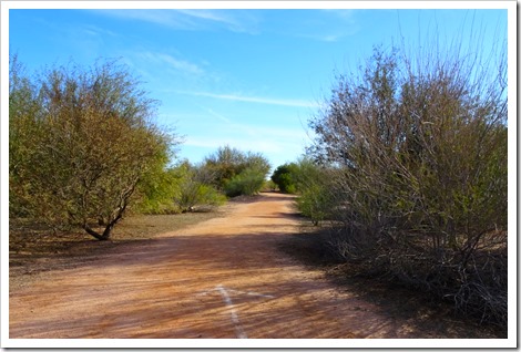 Yuma West Wetlands