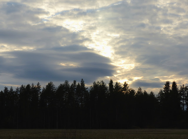 lenticulaire%2520P1120936.JPG