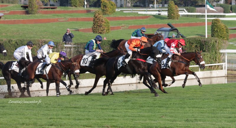 Photos Auteuil 11-10-2015 IMG_5538