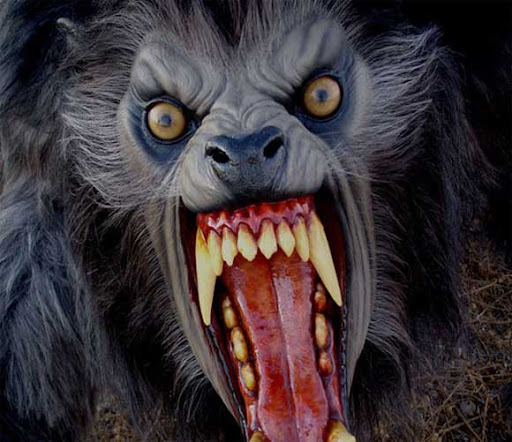 Werewolves Arent Real Image