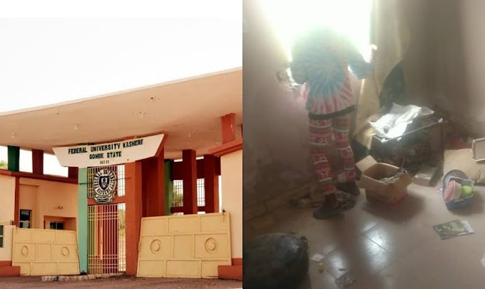 Heavy robbery on student's apartments ongoing in federal University kashere Gombe state