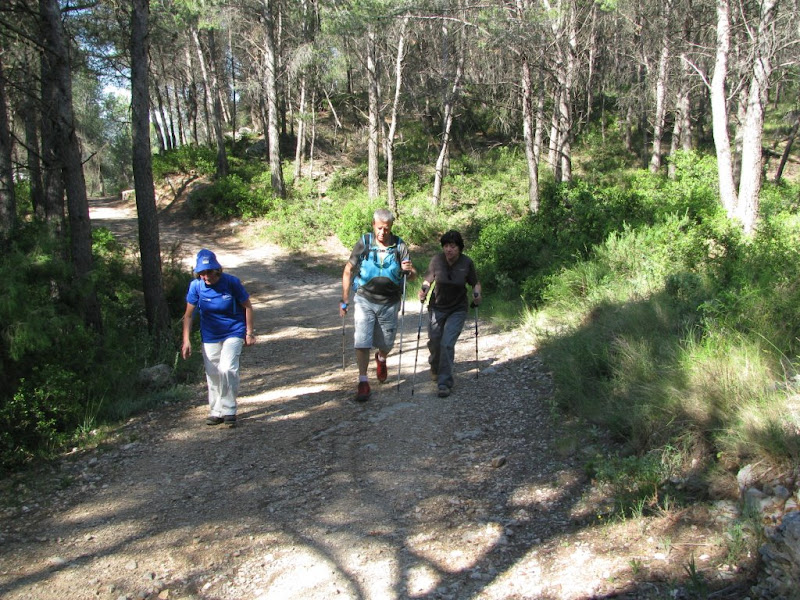 rando des Barnouins le 13 juin 2013 IMG_1982