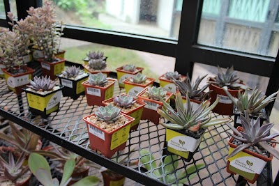 Photos of Institute of Biology