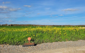 terrain à Saint-Médard-d'Aunis (17)