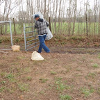 Click to Expand Owen carries a roll of fencing wire the hard way