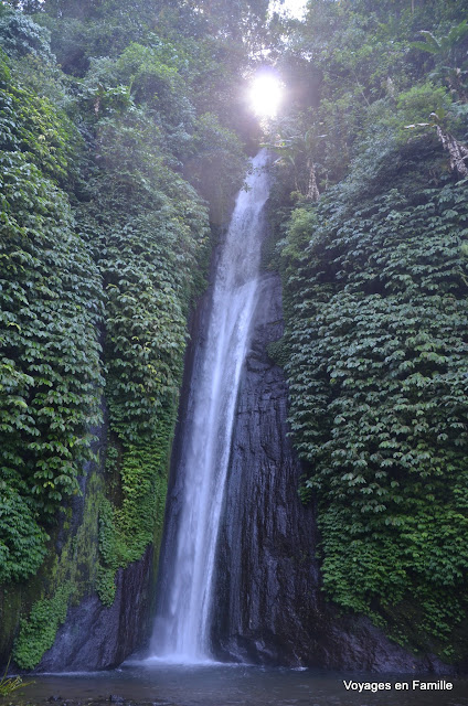 red coral waterfall