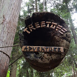 treetops adventure at the Capilano Suspension Bridge in North Vancouver, Canada 