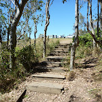 Steps on the track (195704)